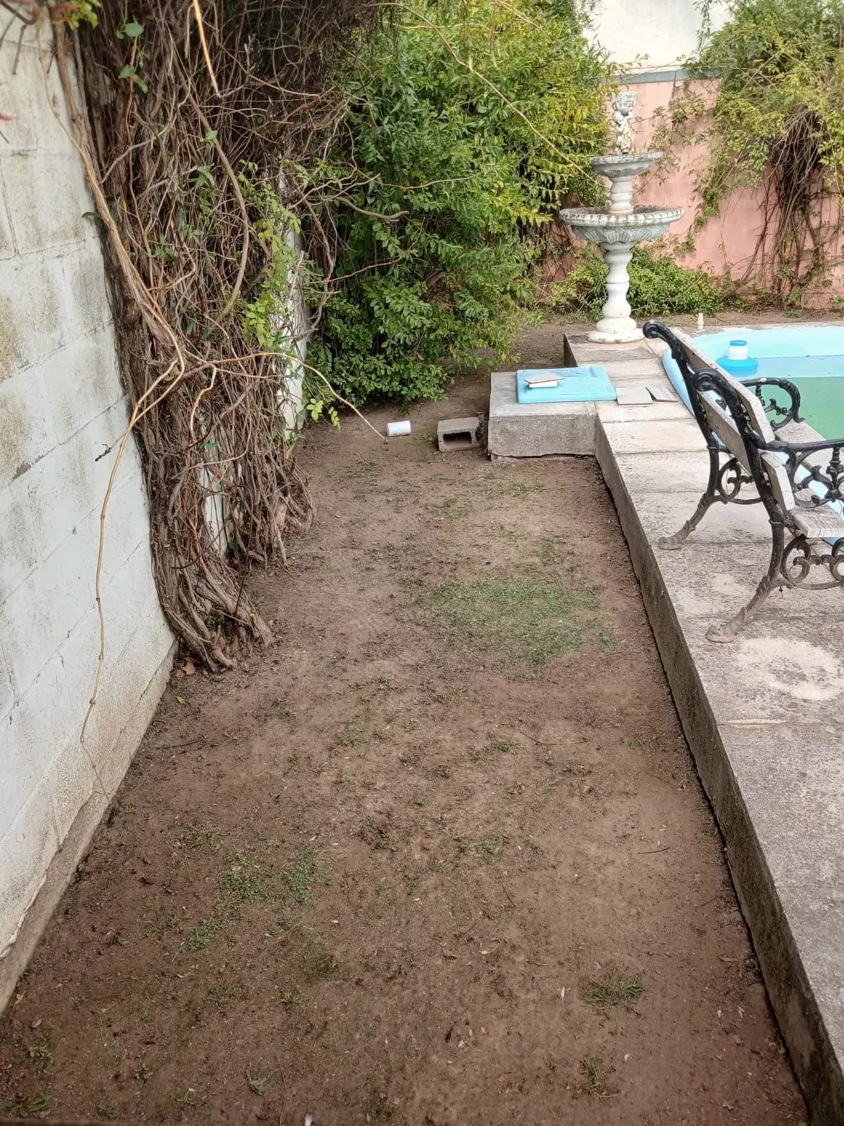 Sector de jardín junto a la pileta, limpio de malezas