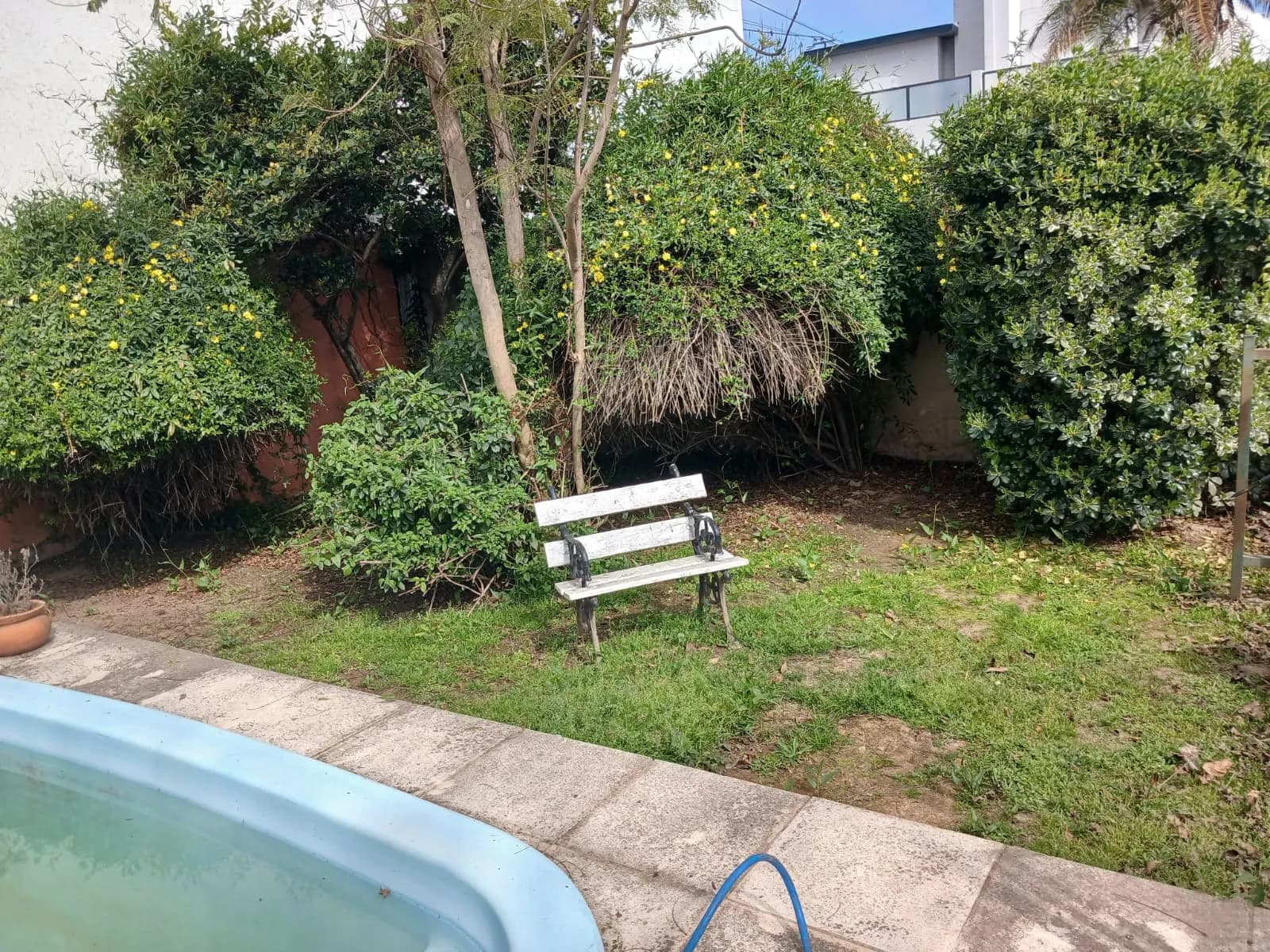 Jardín residencial con pileta y canteros florecidos