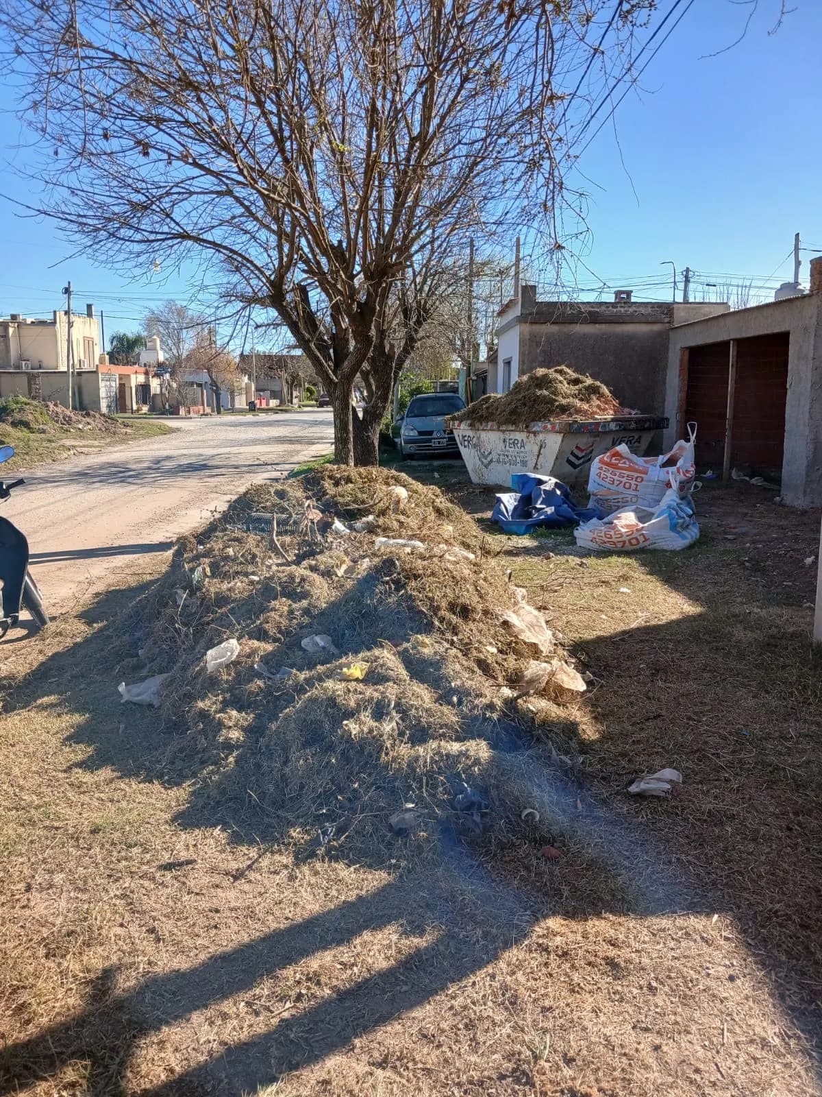 Volquete cargado con restos de poda para trasladar